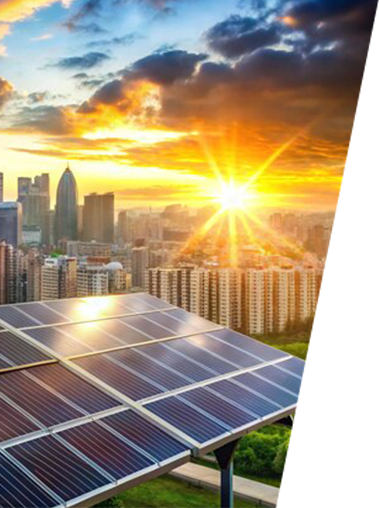 Bee Aura Tech success story delivering 35 percent warehouse efficiency improvement for a solar technology manufacturer