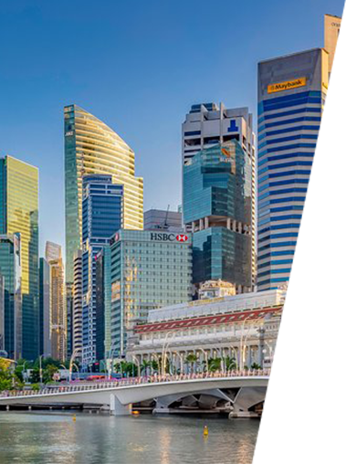 Bee Aura Tech success story delivering 27 percent faster financial reporting for an infrastructure finance company